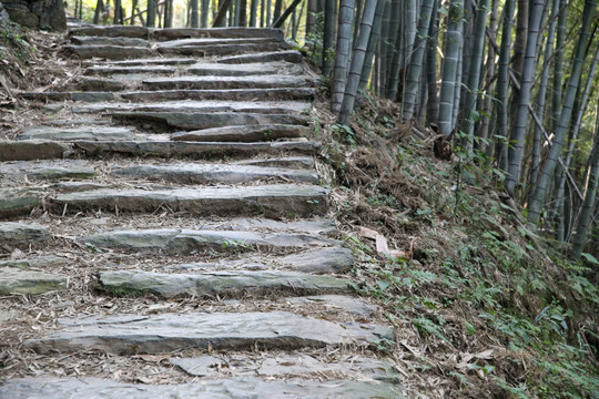 箬岭古道山路