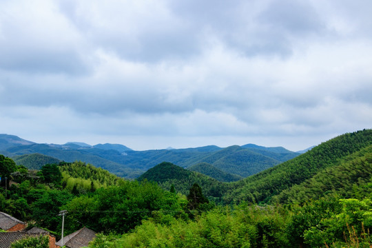 森林山峰 山脉