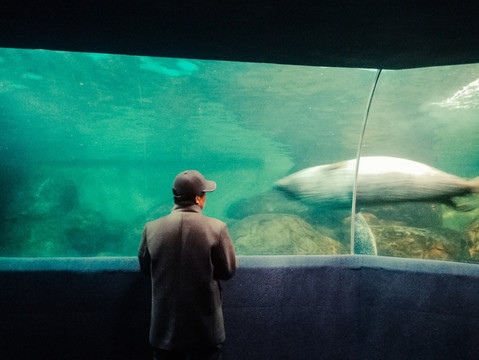 看鱼 游览水族馆