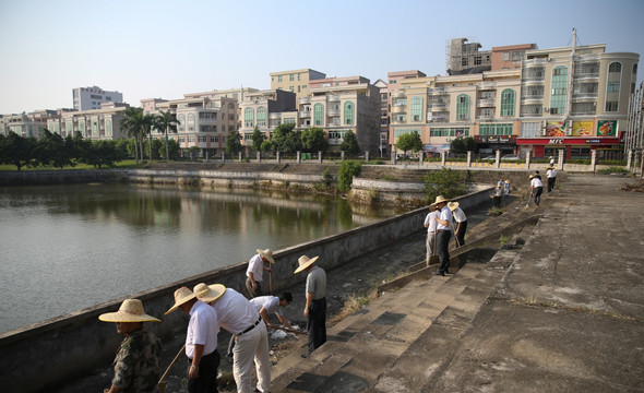 扫街 扫地 搞卫生