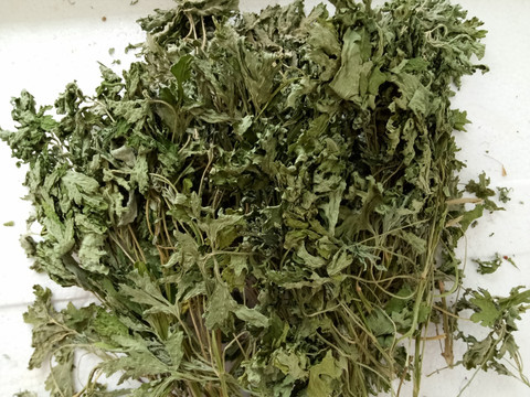 益母草 中药 益母草药材