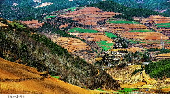 东川红土地