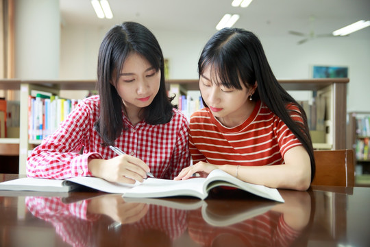 女学生们坐在图书馆里做作业