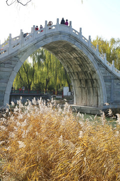 颐和园绣漪桥秋景