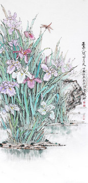 鸢尾花 兰花 蜻蜓