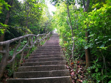 深圳梧桐山