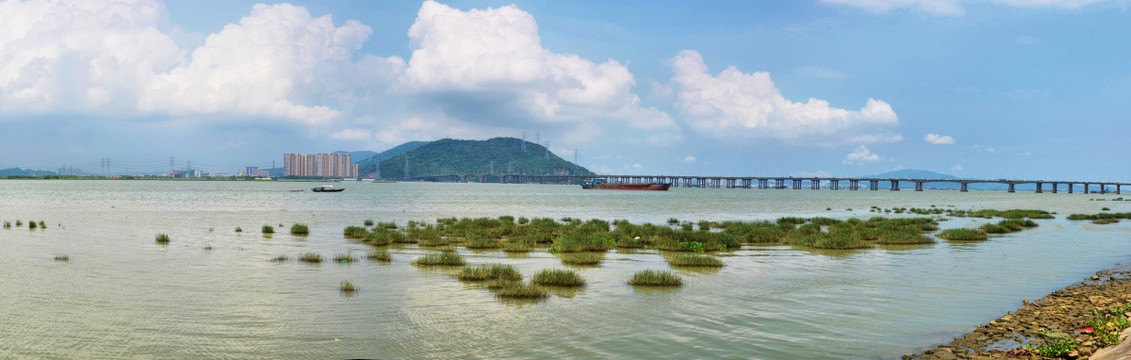 磨刀门水道