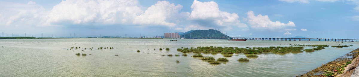 磨刀门水道全景