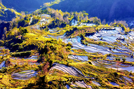 元阳梯田