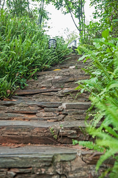 石板路 阶梯 台阶 小路