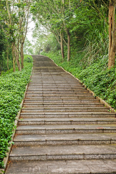 板路 小路 阶梯