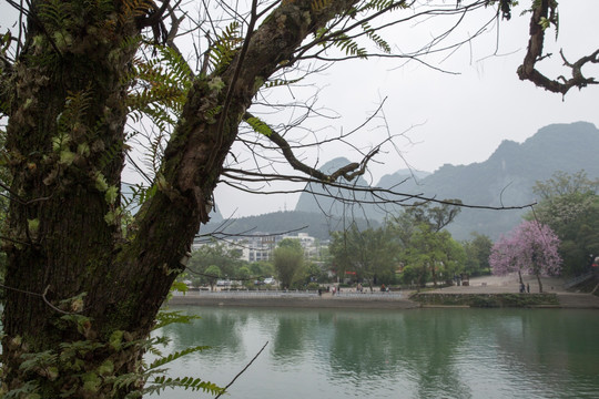 桂林阳朔山水漓江山水