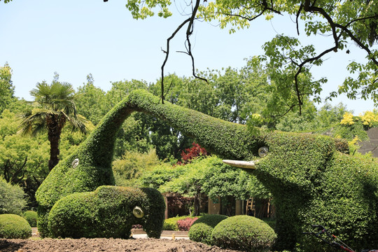 绿色植物雕塑