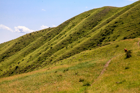 新疆天山山脉