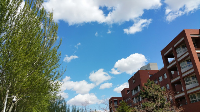蓝天 白云 树