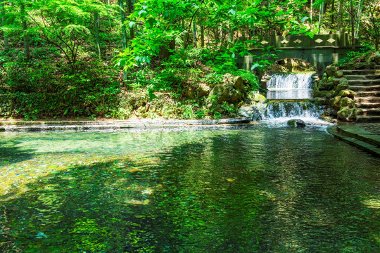 山涧溪水 溪流 竹林小溪