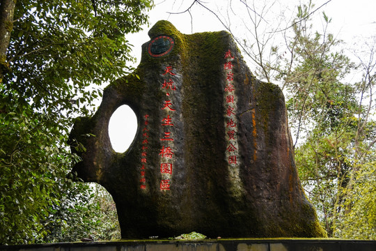 天生三桥景区 石刻