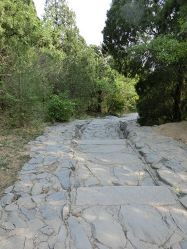 下山道 下山路 青石台阶