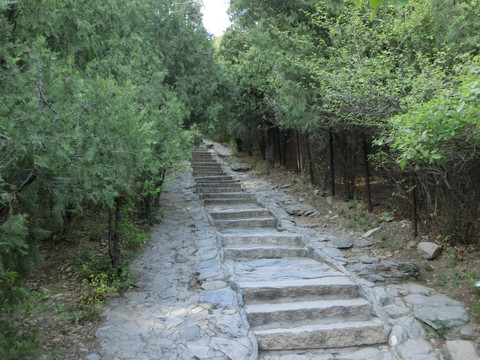 登山道 登山路 青石台阶