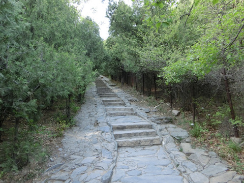 登山道 登山路 青石台阶