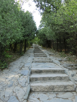 登山道 登山路 青石台阶