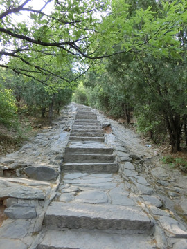 登山道 登山路 青石台阶