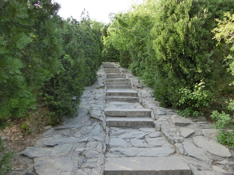 登山道 登山路 青石台阶