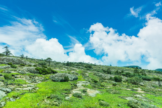 山川风光