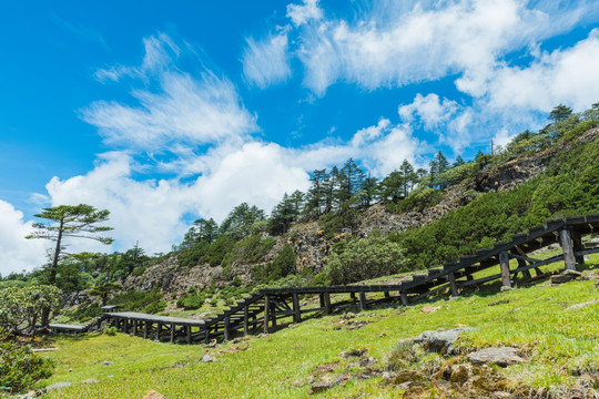 山川风光