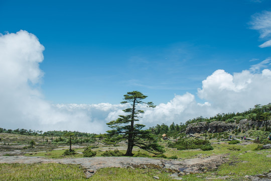 山川风光