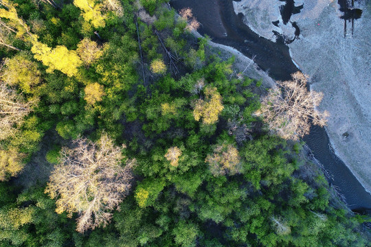 树林河流风景 航拍