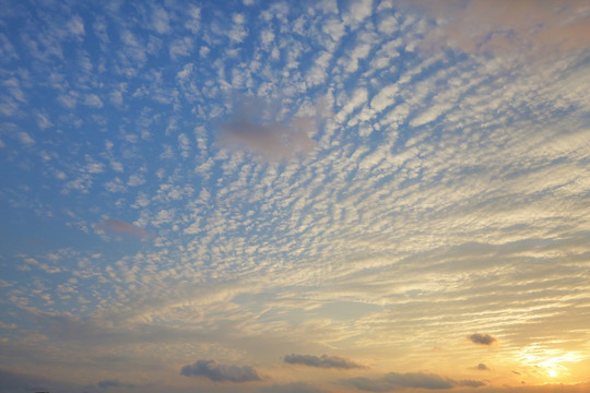 晚霞 夕阳 鱼鳞云