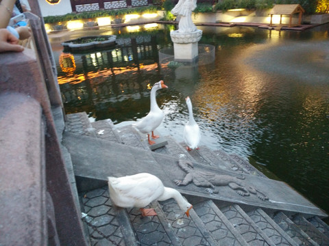 上海 建筑 寺庙 旅游 风光