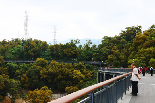 金雞山公園