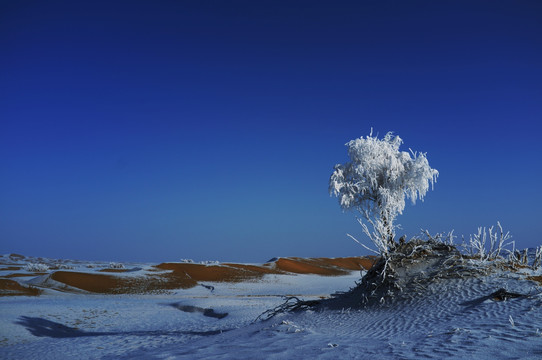 雪后沙漠