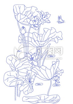 荷花繪畫