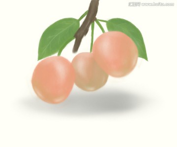 櫻桃