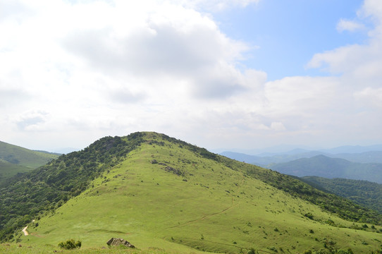 高山草场