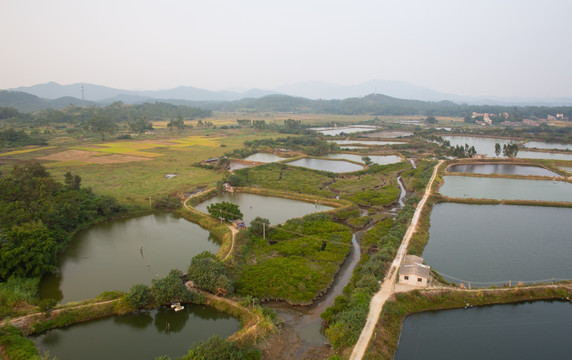 养殖场 海水养殖 海岸