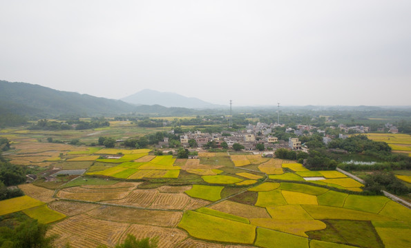 山村 乡村 田野