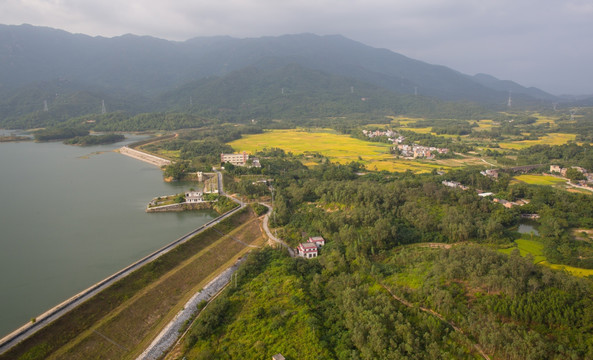 坡底水库 水库