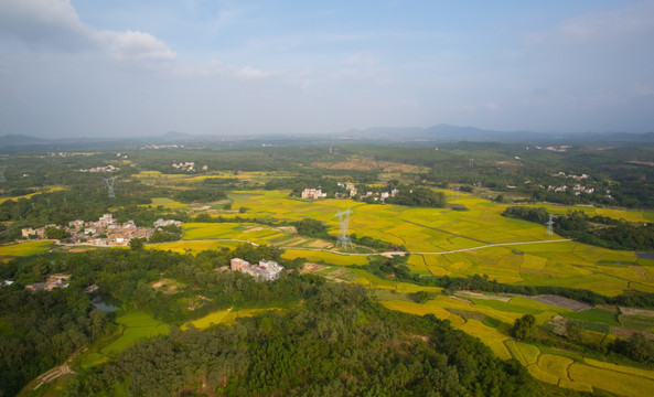 稻田 山村秋色 田园风光