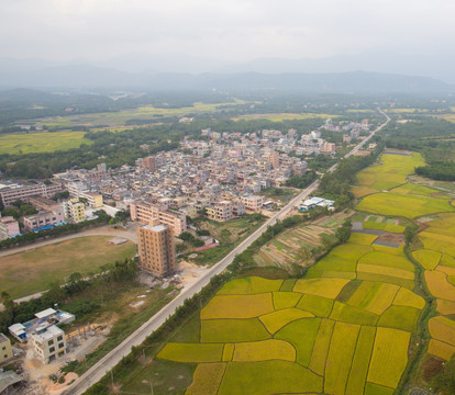 田野 秋色 乡镇