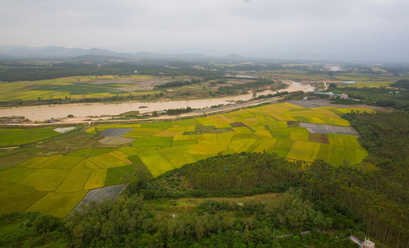 河流 田野