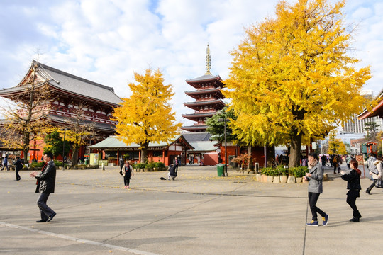 日本旅游