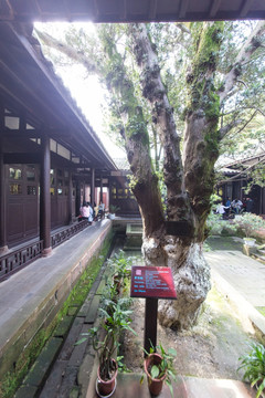 八大山人风景区