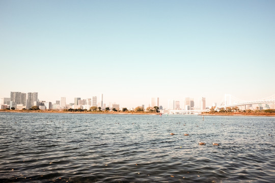 台场海滨公园