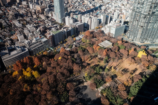 日本东京城市