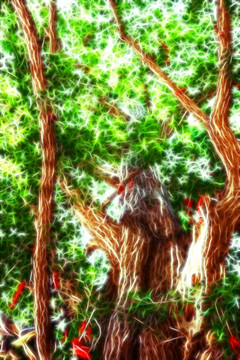 抽象画绿树