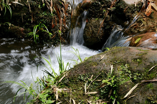 泉水 溪流 水花 溪水 小溪